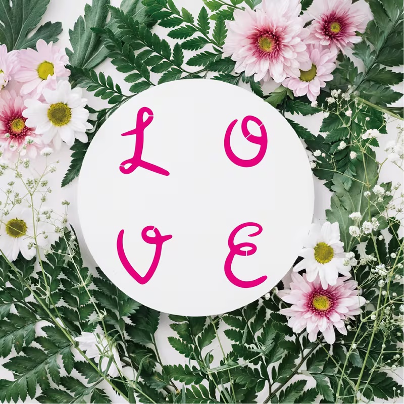 Conjunto de estêncil de alfabe - Photography Font avaliação e preço